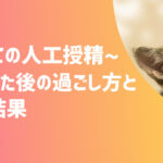 初めての人工授精〜終わった後の過ごし方とその結果【不妊治療体験談】