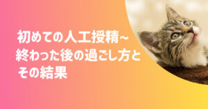 初めての人工授精〜終わった後の過ごし方とその結果【不妊治療体験談】