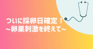 ついに採卵日確定！！~卵巣刺激を終えてみて~【不妊治療体験談】